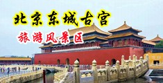 好舒服好爽大鸡巴快操我视频中国北京-东城古宫旅游风景区